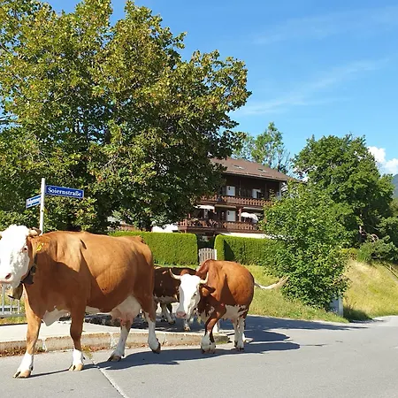 Haus Abendsonne Familie Druxes Lägenhet