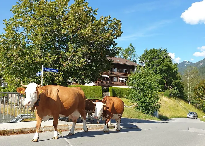 Haus Abendsonne Familie Druxes 아파트